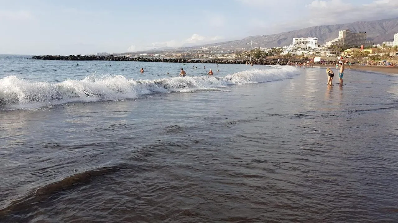 Apartment Ty Las Americas Playa de las Americas   Playa de las Americas (Tenerife)